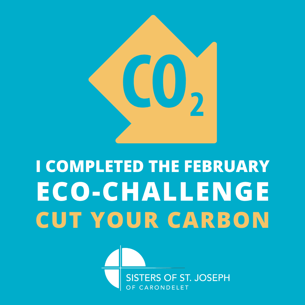 EcoChallenge Cut your carbon Sisters of St. Joseph of Carondelet