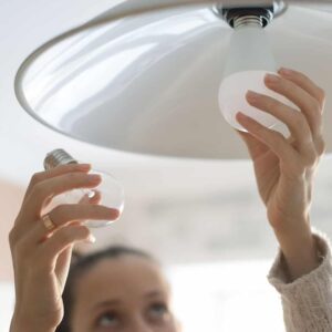 Swap your incandescent bulbs for LEDs