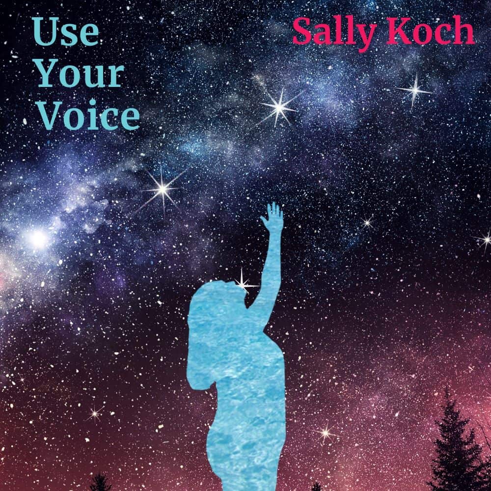 Use Your Voice album cover