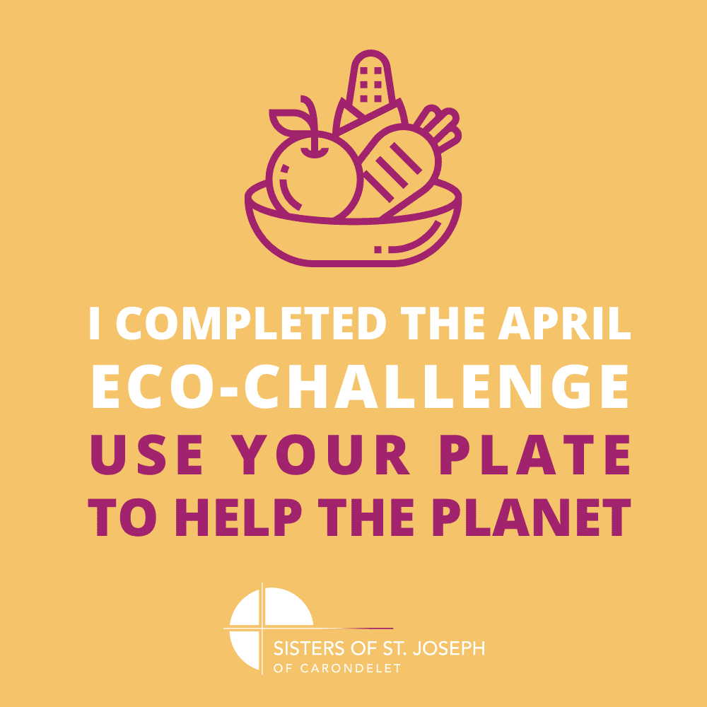 I completed the April Eco-Challenge: Use your plate to help the planet
