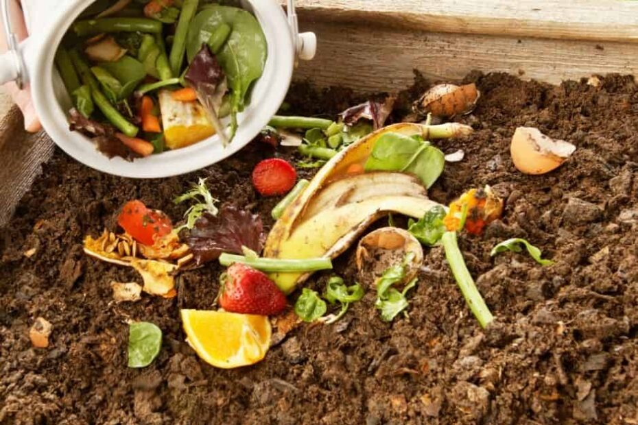 A person dumps food scraps into a compost bin