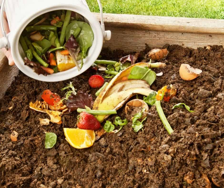 A person dumps food scraps into a compost bin