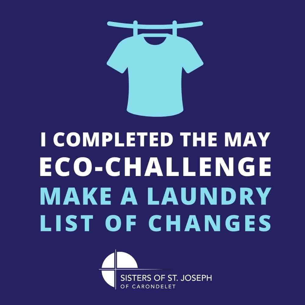 I completed the May Eco-Challenge: Make a laundry list of changes