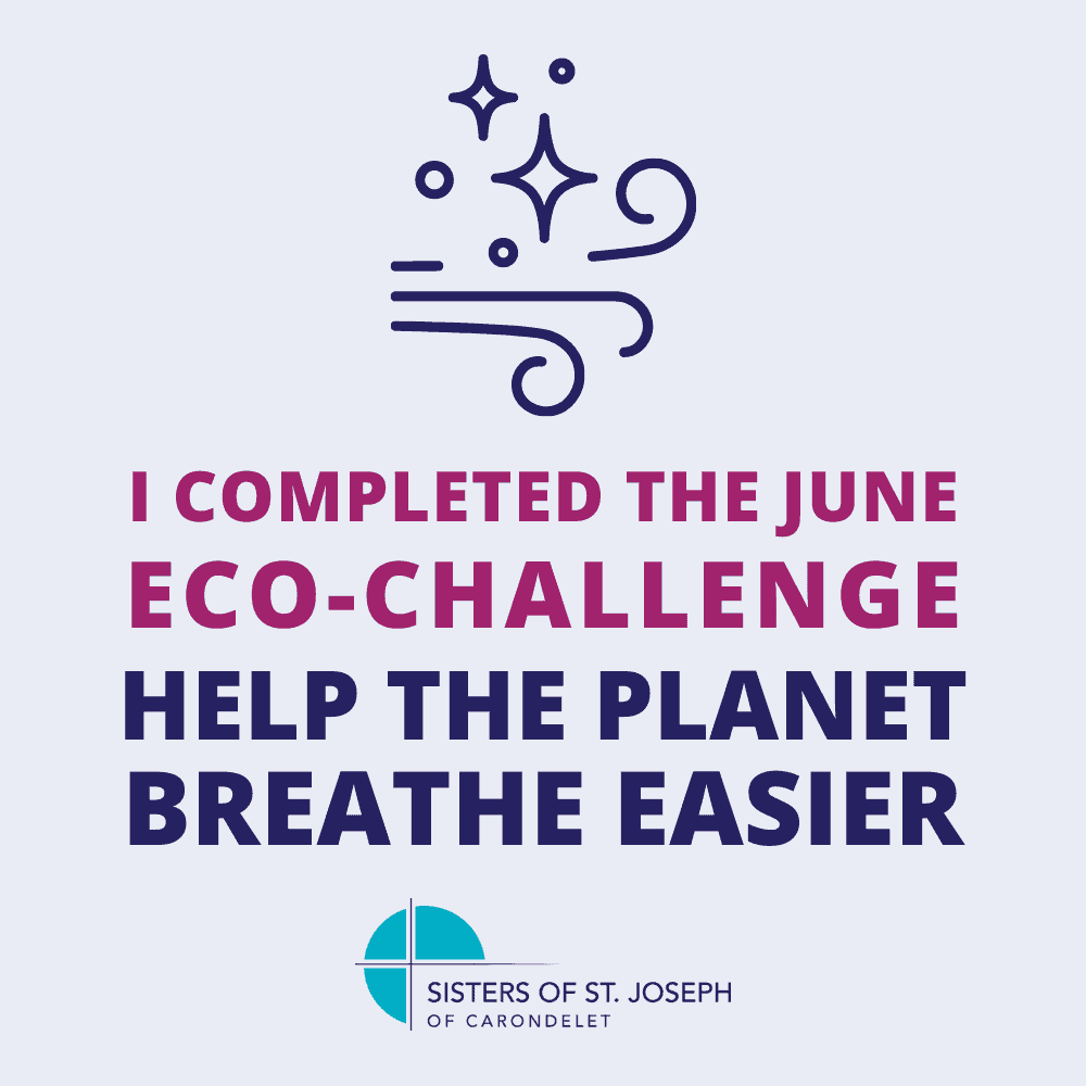 I completed the June Eco-Challenge: Help the planet breathe easier