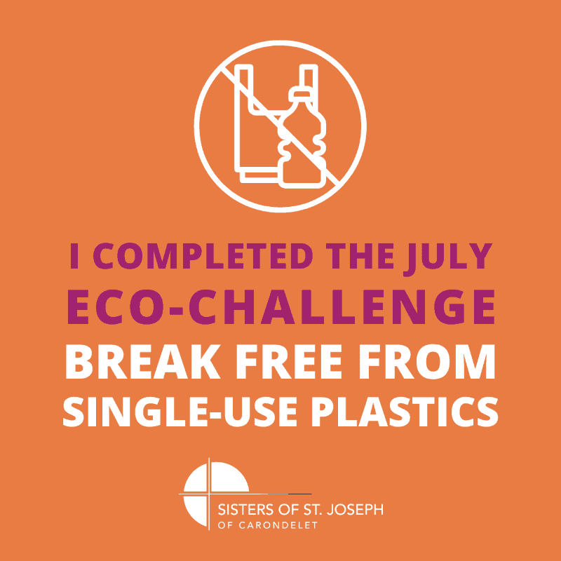 I completed the July Eco-Challenge Break Free from Single-Use Plastics
