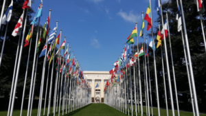 Dozens of international flags line the path to the facade of the United Nations building