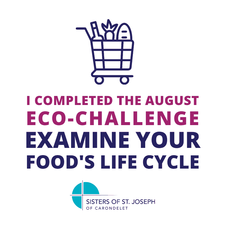 I completed the August Eco-Challenge: Examine your food's life cycle