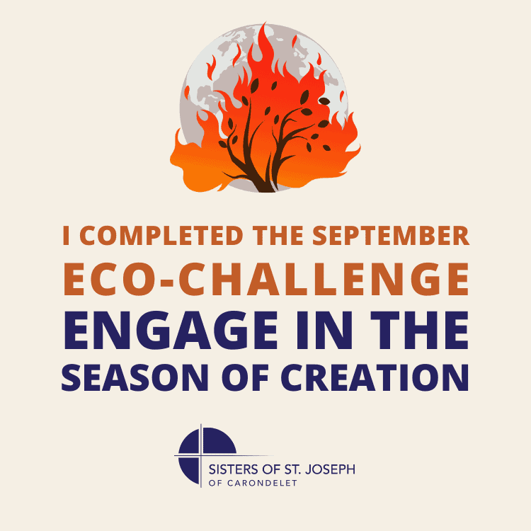 I completed the September Eco-Challenge: Engage in the Season of Creation
