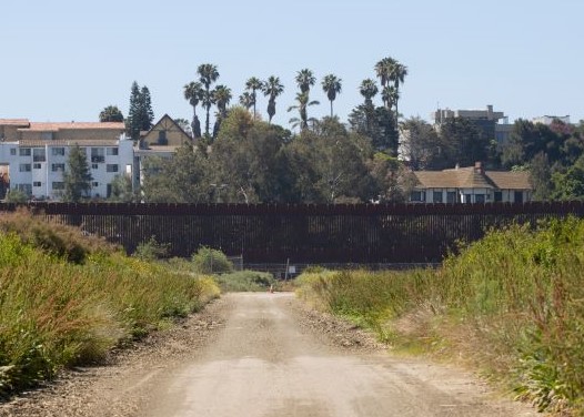 The San Diego Border, a dirt road leading to palm trees