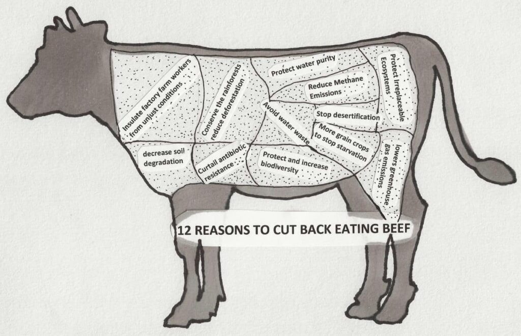 Outline of a cow with 12 reasons to cur back on beef listed like a diagram of butcher's cuts