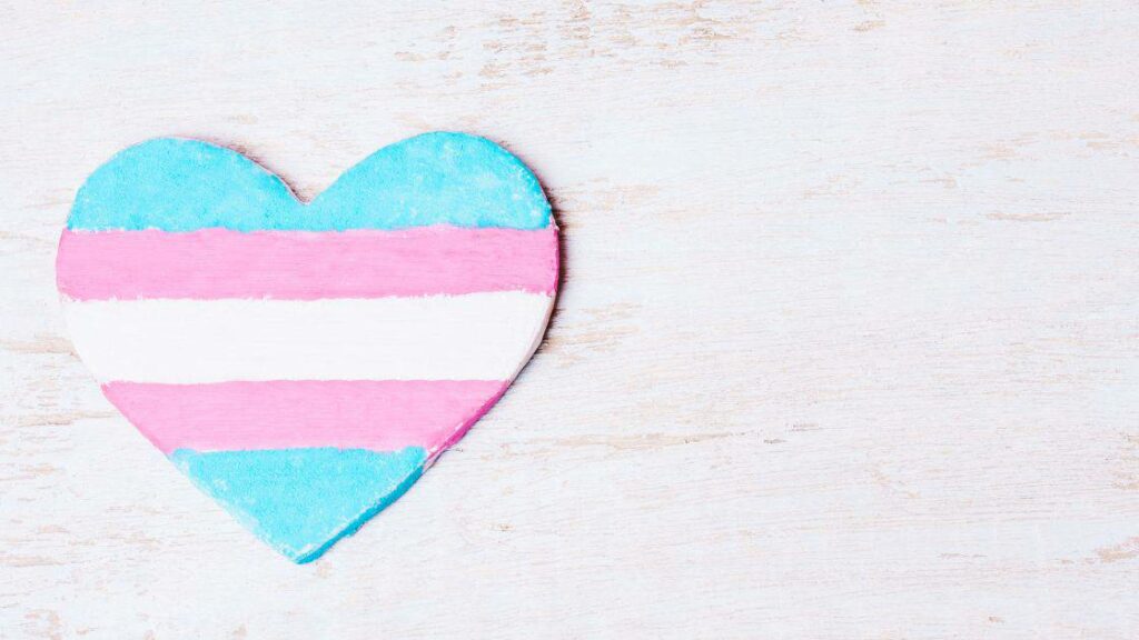 A heart painted with the pastel blue, pink and white of the trans flag sits on a light woodgrain background