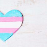 A heart painted with the pastel blue, pink and white of the trans flag sits on a light woodgrain background