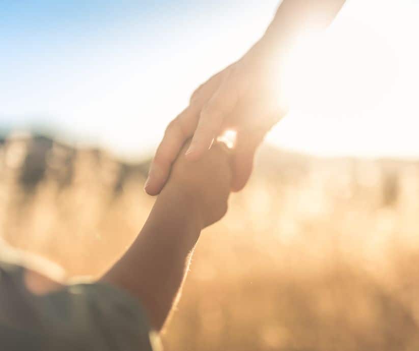 A close up of a child's hand being held in an adult's in front of a meadow. The sun shines brightly in the background.