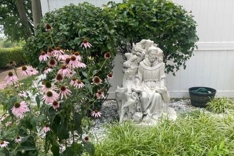 The statue of St. Francis of Assisi on the back patio of the Sisters of St. Joseph of Carondelet Motherhouse.