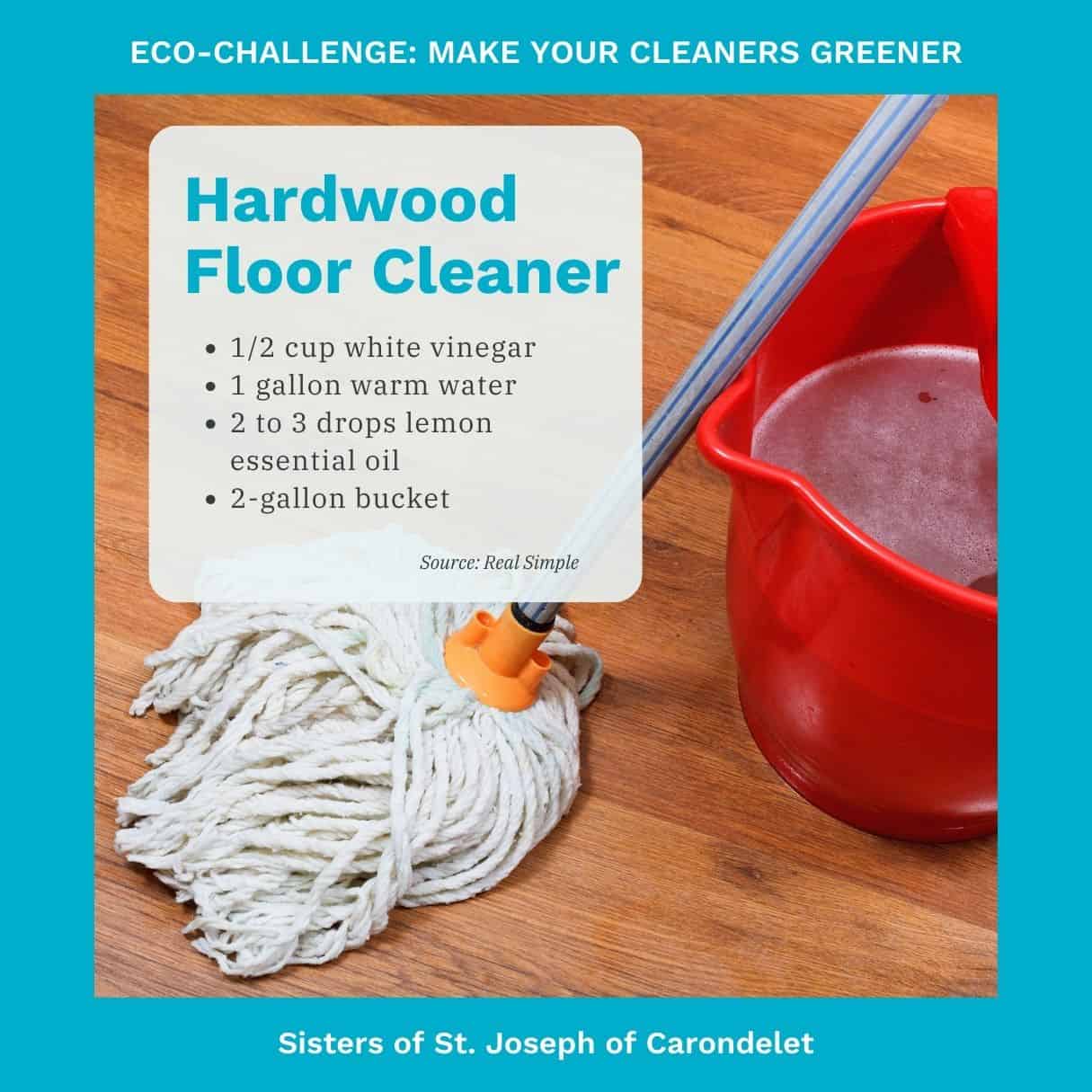 Eco-Challenge: Make your cleaners greener – Sisters of St. Joseph of  Carondelet