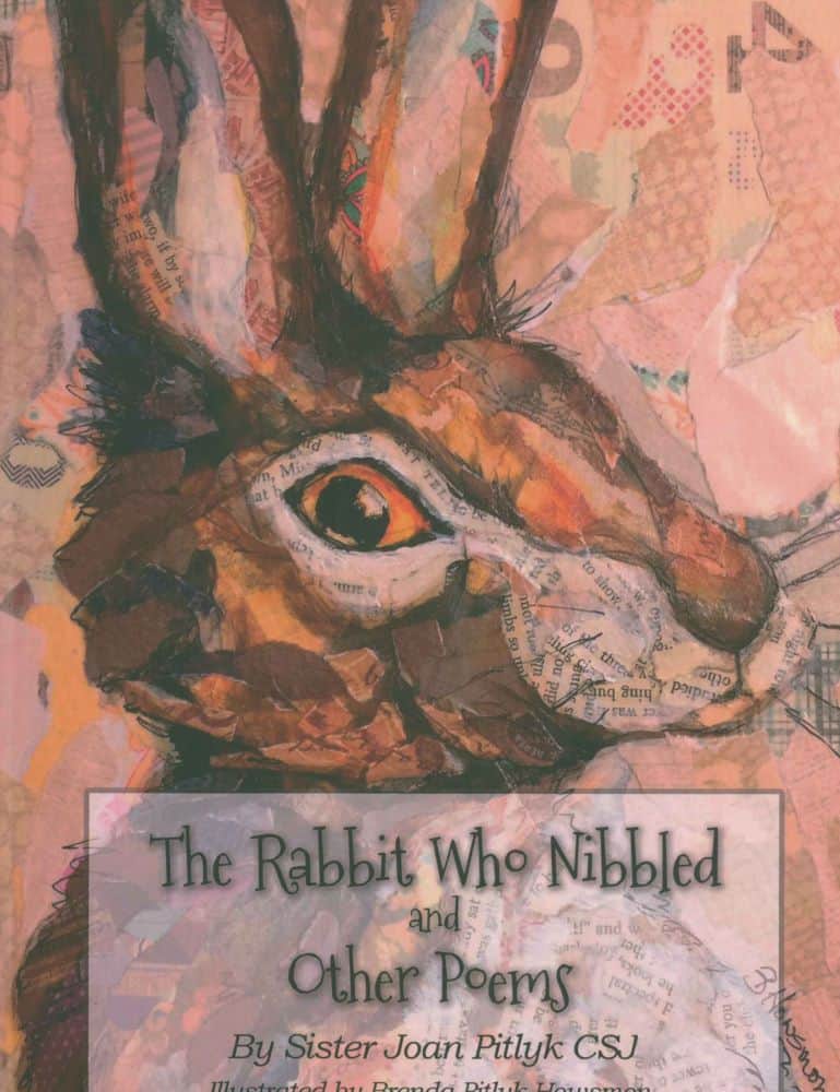 Book cover with a painting of a rabbit's face on a peachy collaged background