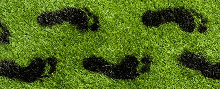 Burned, black footprints in green grass