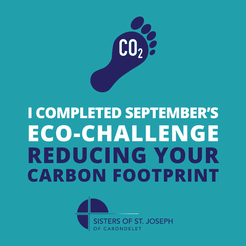 Teal background with a graphic of a foot labeled CO2 and text that reads "I completed September's Eco-Challenge: reducing your carbon footprint"