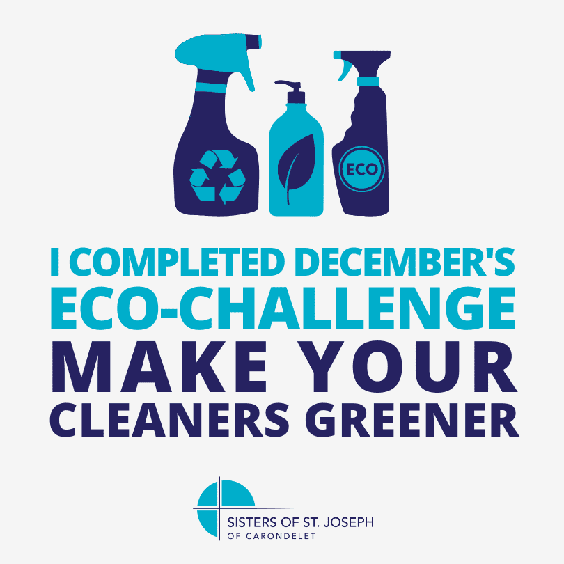 Badge for the December 2024 Eco-Challenge: make your cleaners greener