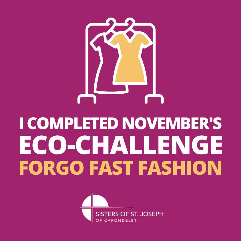 Magenta background with a graphic of a clothes rack and text that reads "I completed November's Eco-Challenge: forgo fast fashion"