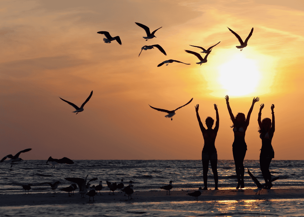 Three backlit figures jumping for joy on a beach surrounded by seagulls