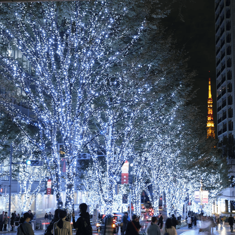 Christmas lights in Roppongi, Tokyo