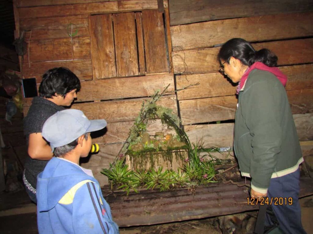 Three people look at a nativity scene made of plants and clay