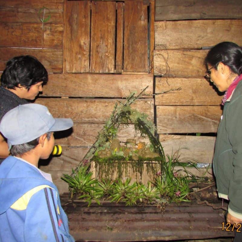 Three people looking at a nativity scene made of plants and clay