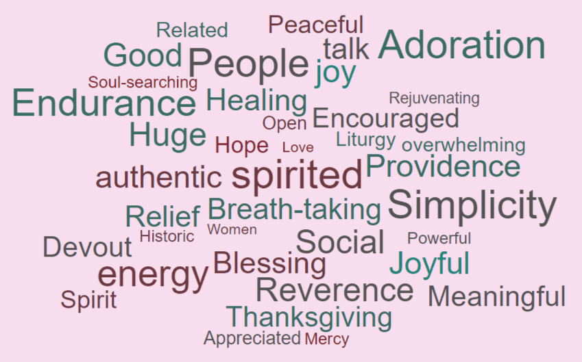 Word cloud from the participants of the SEEK 2025 Conference