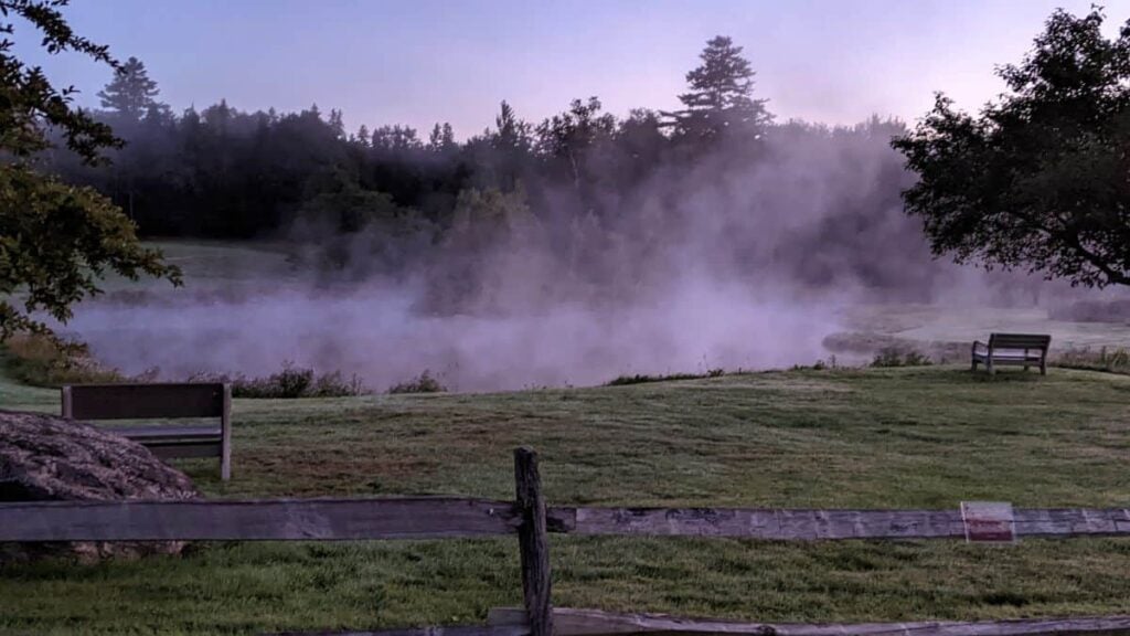 mist over a pond