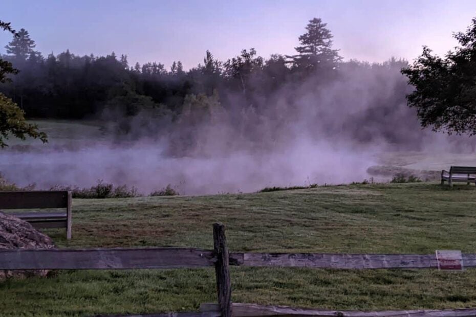 mist over a pond